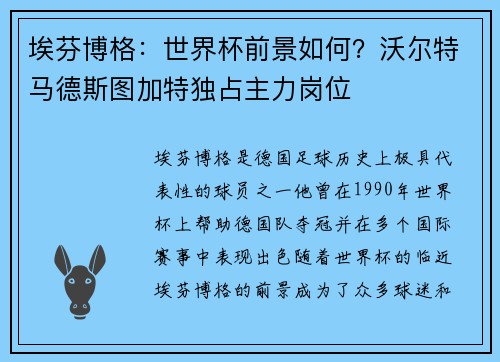 埃芬博格：世界杯前景如何？沃尔特马德斯图加特独占主力岗位