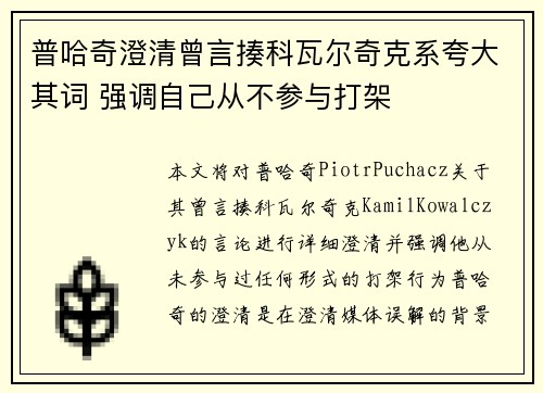 普哈奇澄清曾言揍科瓦尔奇克系夸大其词 强调自己从不参与打架